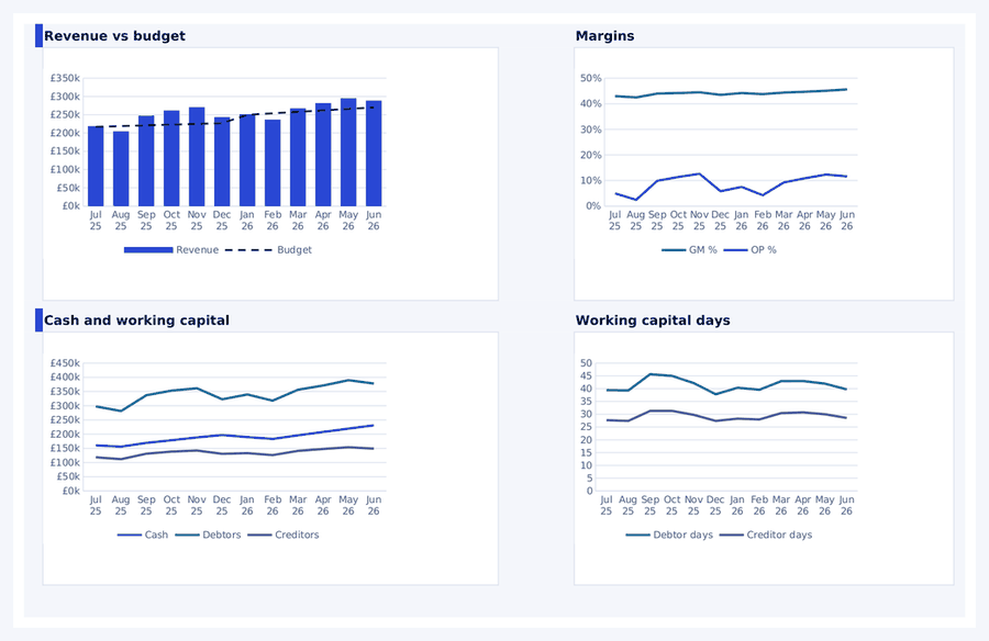 Four charts drawn from sample data: revenue against budget, gross and operating margins, cash with debtors and creditors, and debtor and creditor days, each across twelve months.
